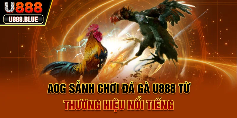 AOG - Sảnh chơi đá gà U888 từ thương hiệu nổi tiếng AOG - Sảnh chơi đá gà U888 từ thương hiệu nổi tiếng