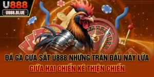Đá Gà Cựa Sắt U888 - Trải Nghiệm Cược Hấp Dẫn Mỗi Ngày